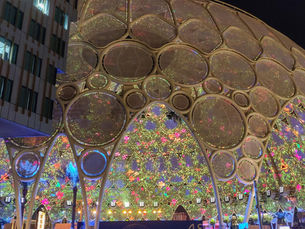 We indeed connect minds, creating the future-Expo2020