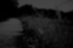 Homepage 5.jpg