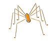 Aranhiços.jpeg