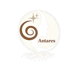 logo sur fond foncé.png