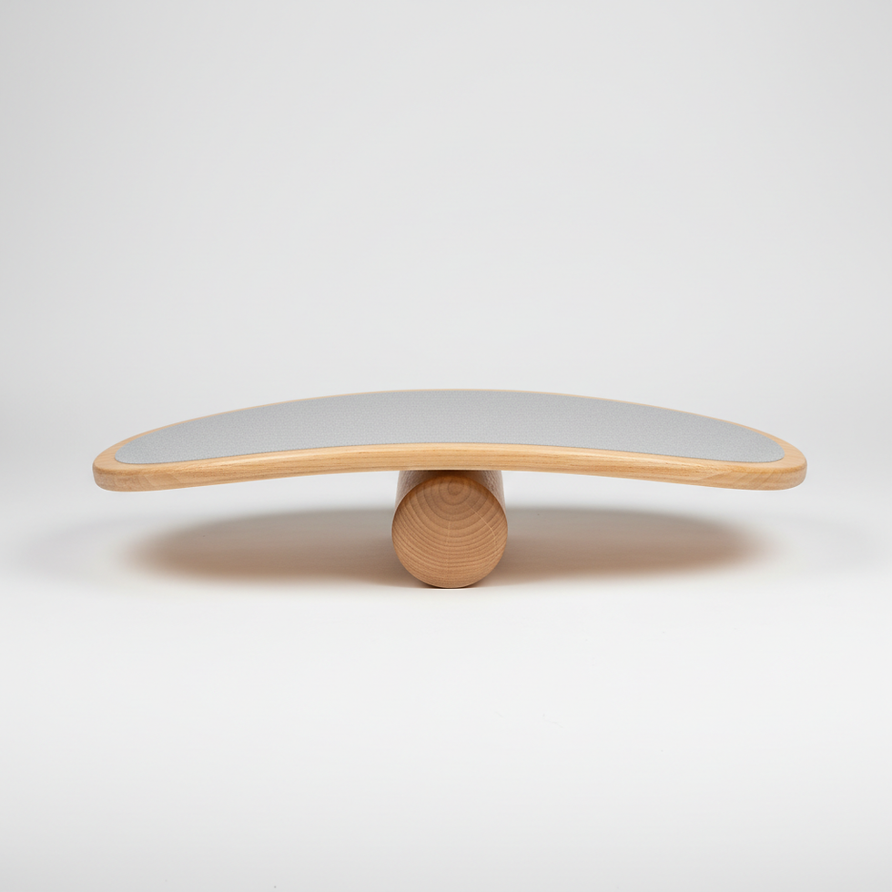 Balance Board Trainer