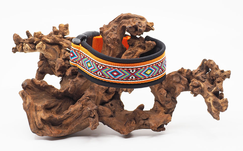 Miniaturbild: Hundehalsband gepolstert in orange