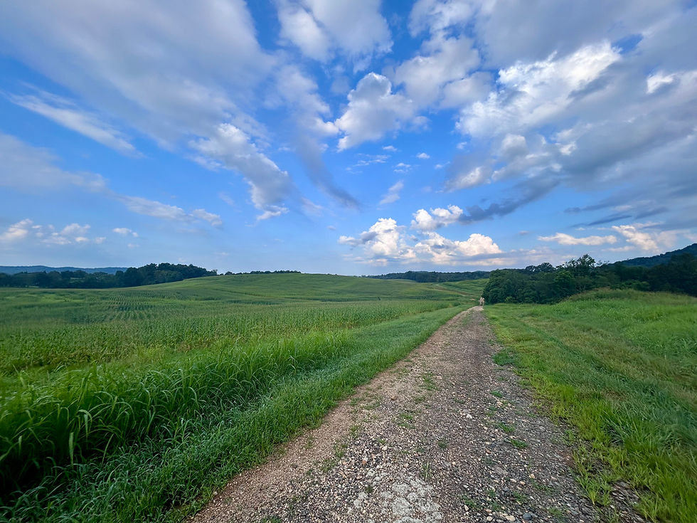 A photo from Kevin's spiritual retreat at Gethsemani Abbey