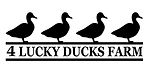 4 lucky ducks logo.jpg