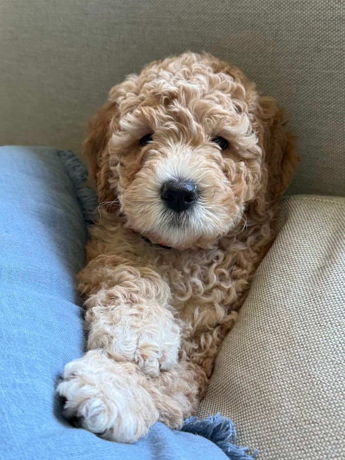 8 weeks.jpg
