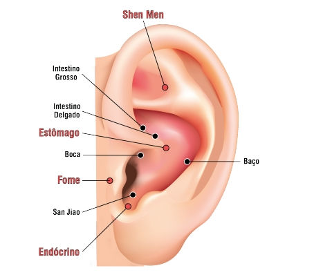 Quais pontos auriculares são ativados no tratatamento da obsidade?