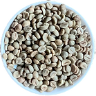 Robusta Parchment AA