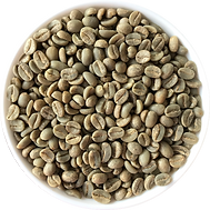 Arabica plantation B