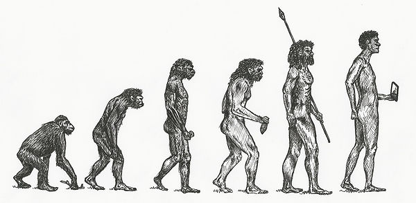 Rosie-Woodcock-Evolution_1024w.jpg