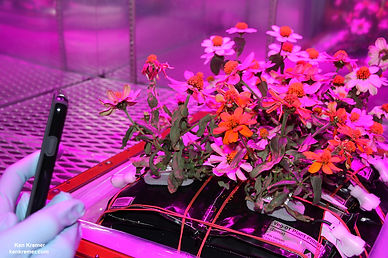 IMG_4343_1a_Veggie-NASA_Ken-Kremer.jpg