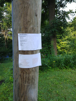 Phone Pole Poems 4 & 5