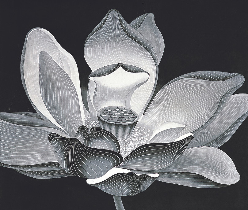 Chen Qi's Lotus #9