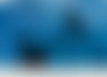 From the Sea to the Stars