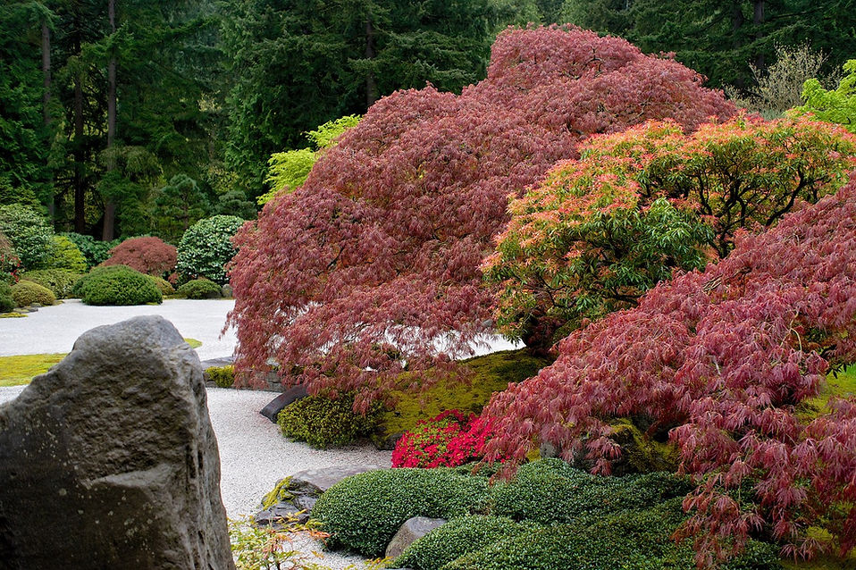 Japanese Garden