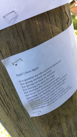 Phone Pole Poem #5