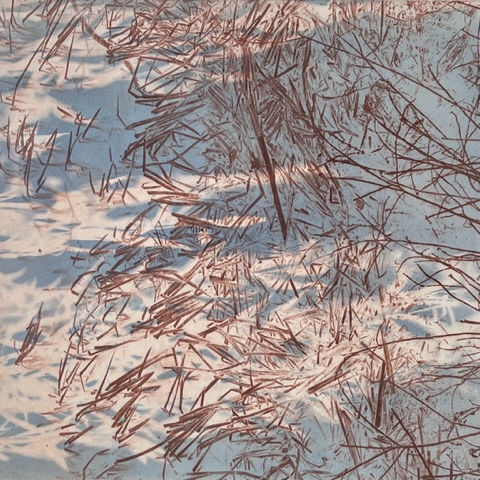 Currents by Sally Frank