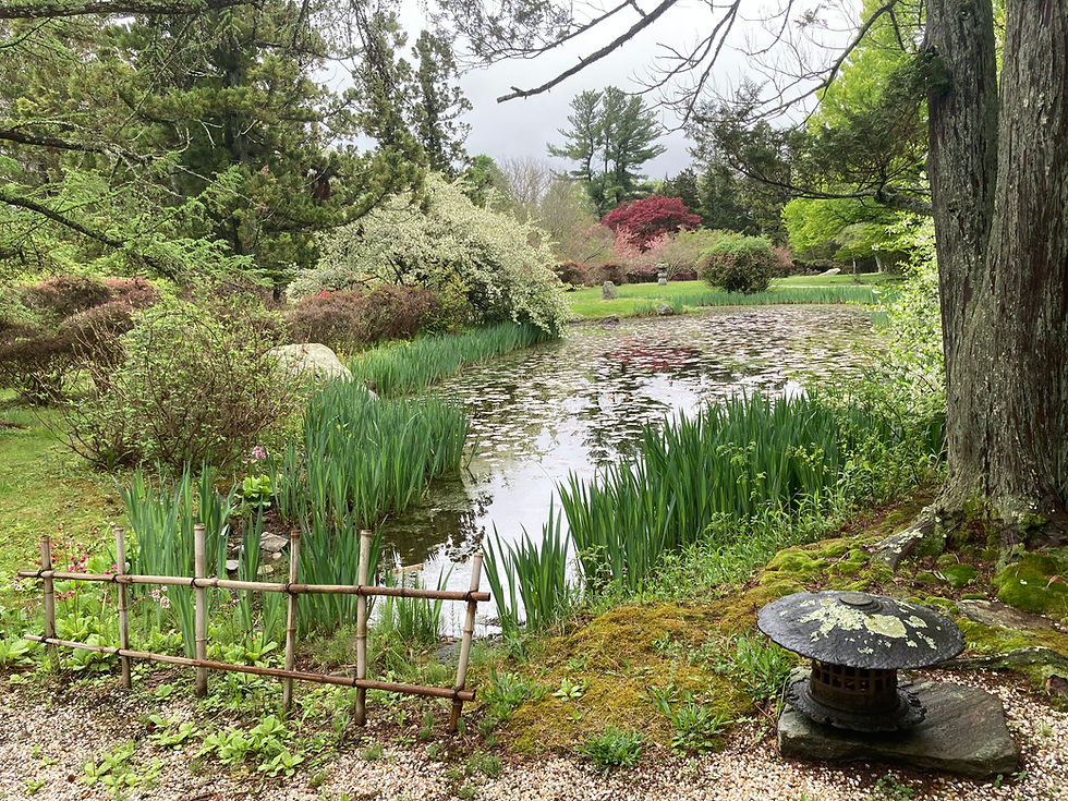 Hammond Museum and Japanese Stroll Garden