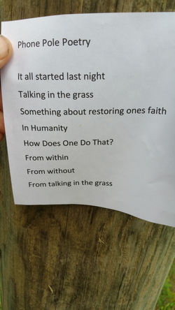 Phone Pole Poem #1