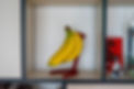DSC01271.jpg