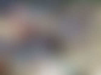 MAIS DE 400 MOÇAMBICANOS, VÍTIMAS DE XENOFOBIA, CHEGAM ESTA QUARTA-FEIRA.