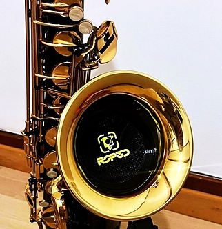 Schutznetz für Tenorsaxophon