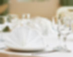 Polyester Napkins