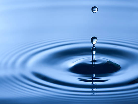 The Ripple Effect: How to Build a Culture of Trust