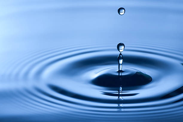 The Ripple Effect: How to Build a Culture of Trust