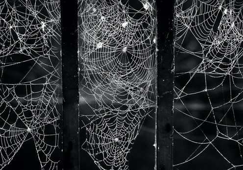 Not Your Typical Web Page