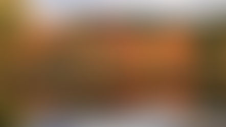 Reflections on Reflections