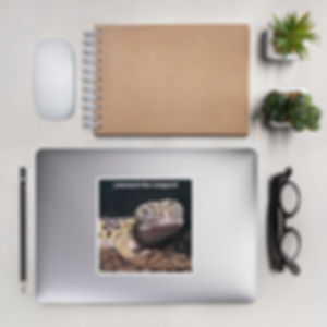 Day one Leonard sticker large