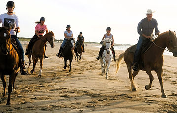 Golden jaaropleiding 8 maanden/ 8 weekends
