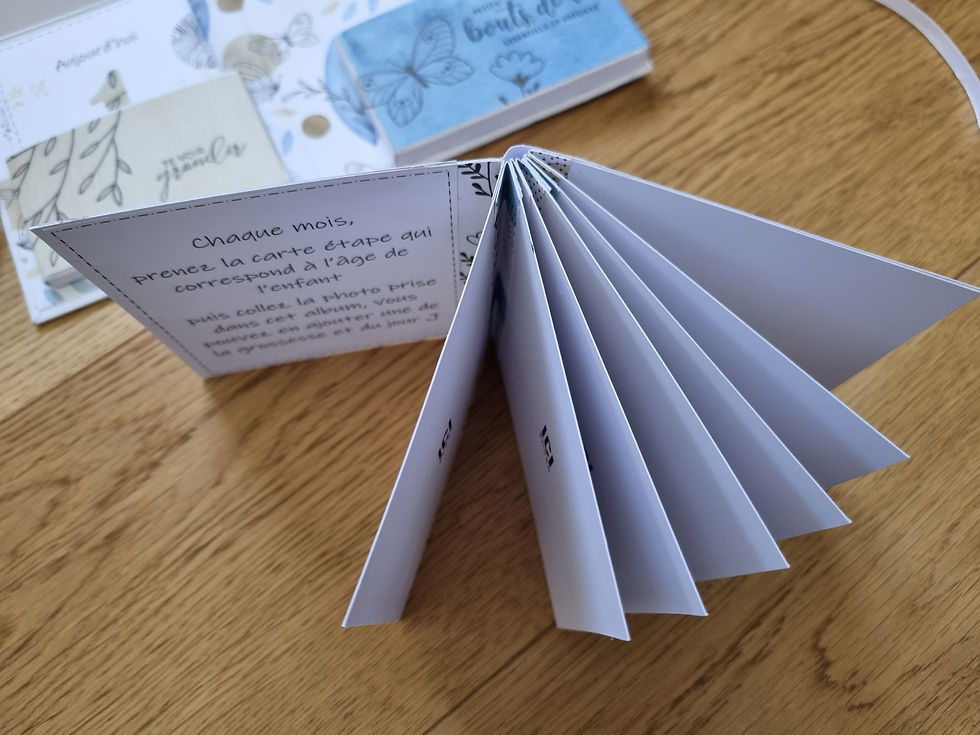 Miniature : Livret première année Papillon