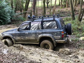 Muddy Path
