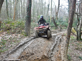 Quad Fun