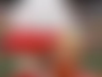 【革命戦・ウィード】まさかの投手陣大崩壊で革命失敗… 史上最悪16失点に軍神・西住監督「申し訳ない」