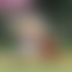 【ハチナイ】直接対決敗れV逸決定… 秋乃柊粘るも近藤に悪夢再来…