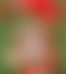 【清澄】江口、全力全開!自己最速タイ137km連発で美城封じた!