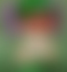 【清澄】完封負けで4節連続入れ替え戦へ 直江打てず首位撃ちフイに