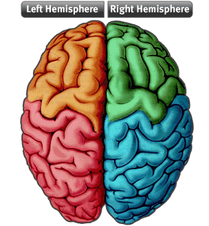 brainhemispheres.gif