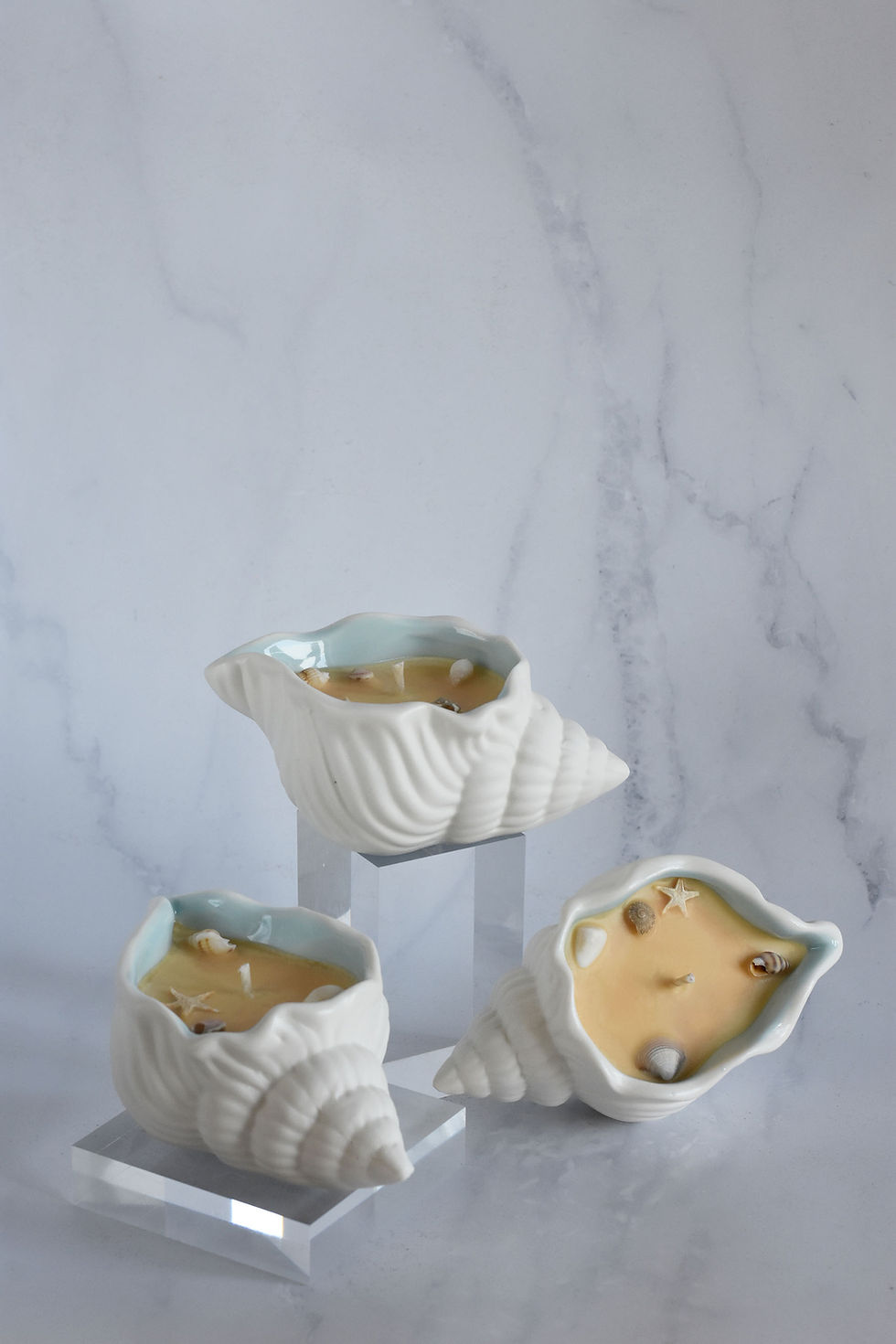 Thumbnail: Conch Shell Soy Candle