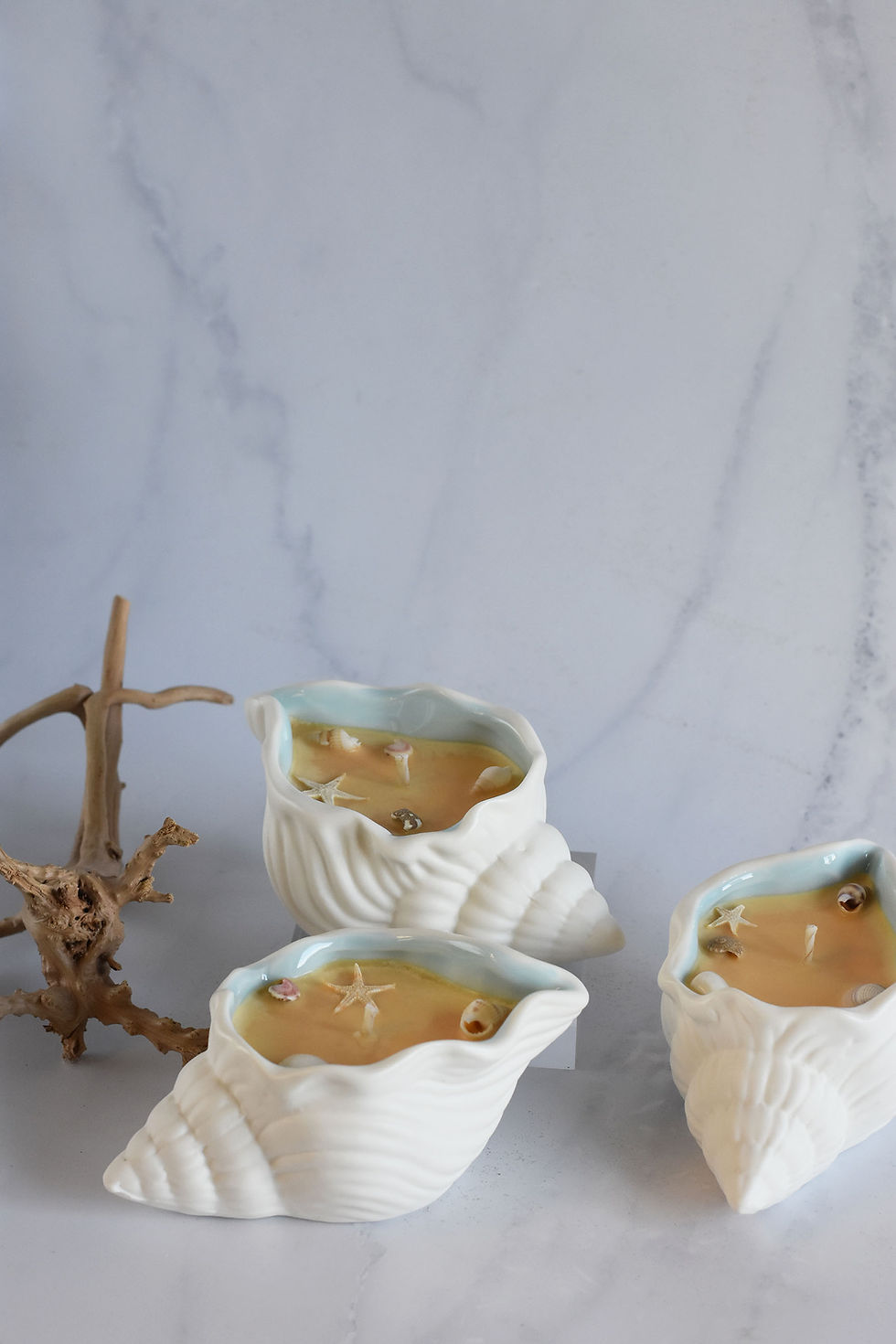 Thumbnail: Conch Shell Soy Candle
