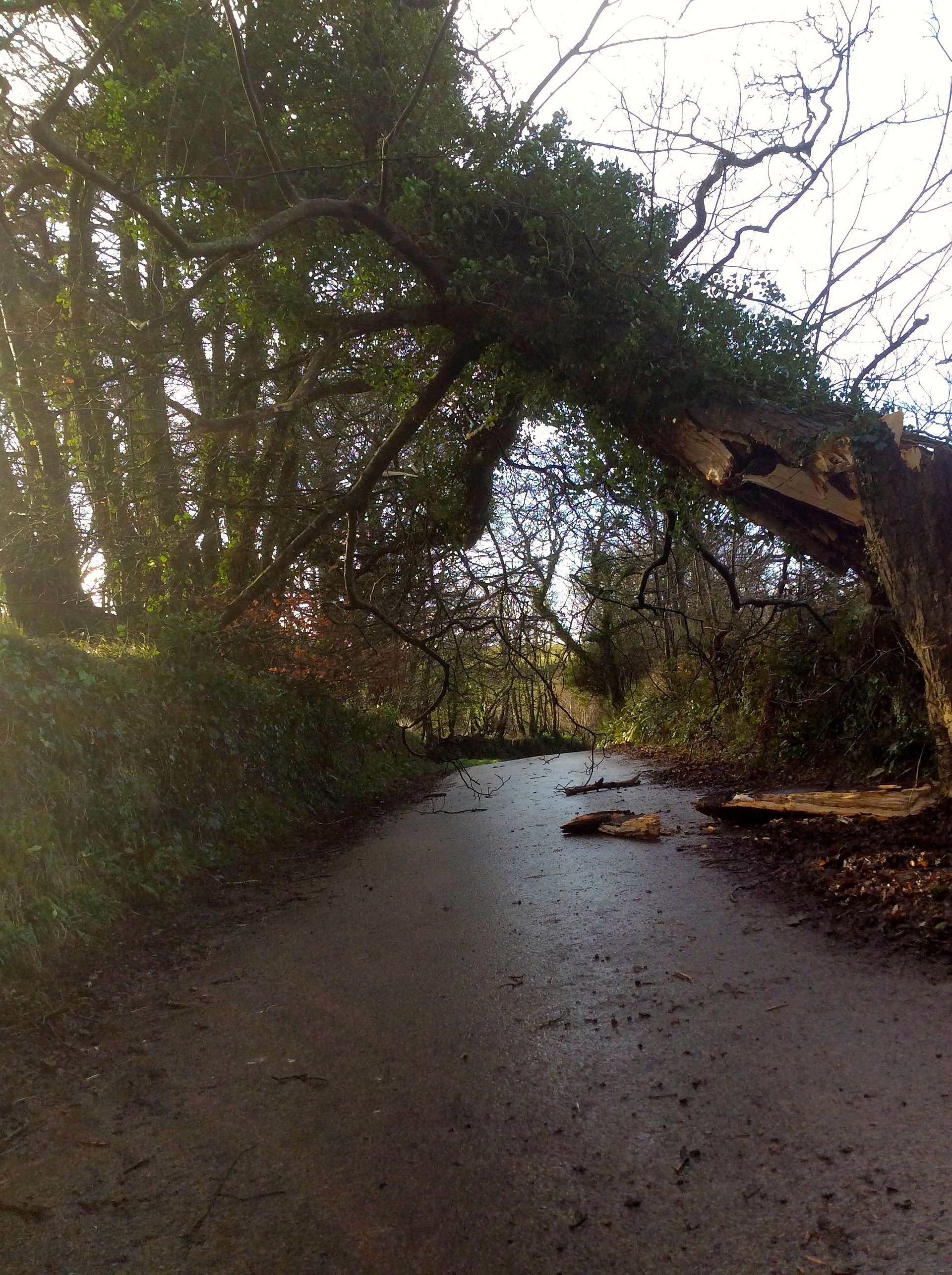 Farmyard failure