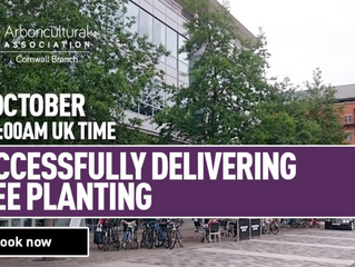 Successfully Delivering Tree Planting