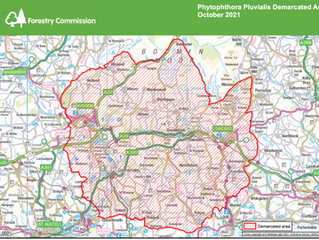 Forestry Commission Plant Health Order comes into effect 27 Oct 2021