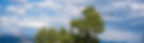 Stonefly 2024-32_edited.jpg