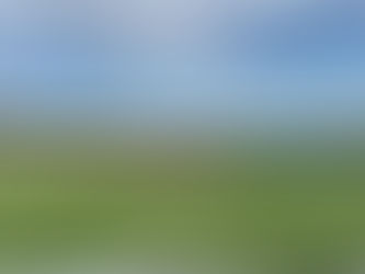 Aufstieg in die Youth-League!