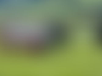 FC Nidi News Juli 2025