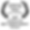 2017 IFFA Nomintaion Best Cinematography