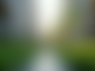 Structuring Your LLC: The First Step to U.S. Investment